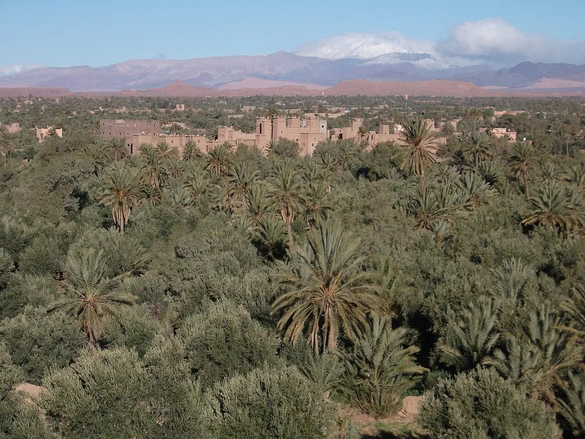 Skoura palm oasis and Amridil kasbah