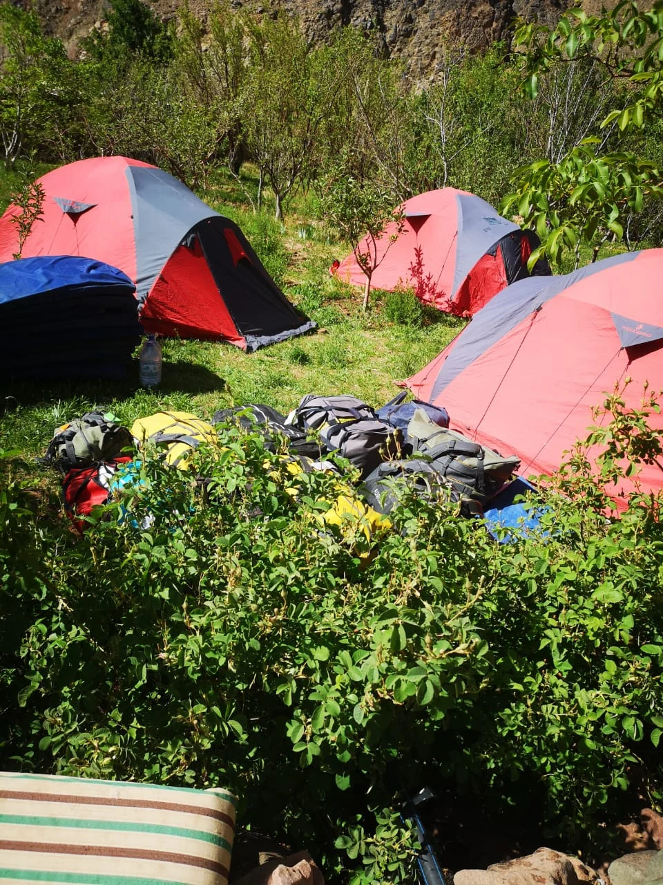 Colourful camping tents among trees near Ichbaken