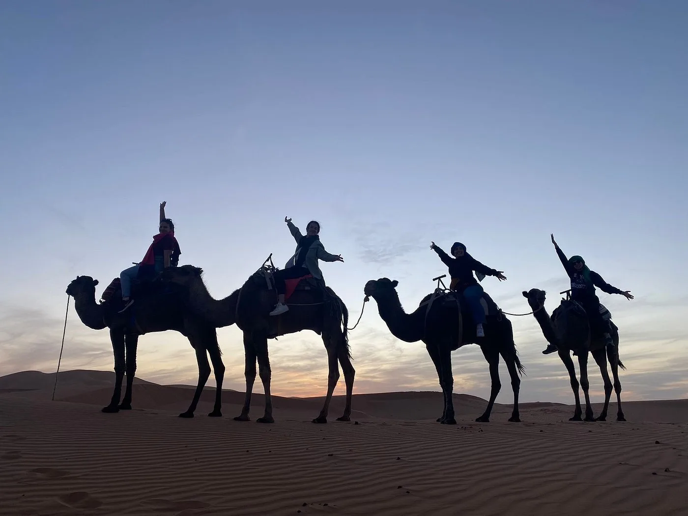 Camel caravan at dusk