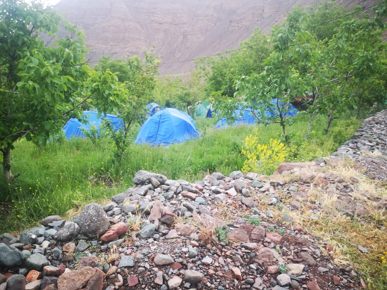 Camping tents among trees in the Ichbaken area