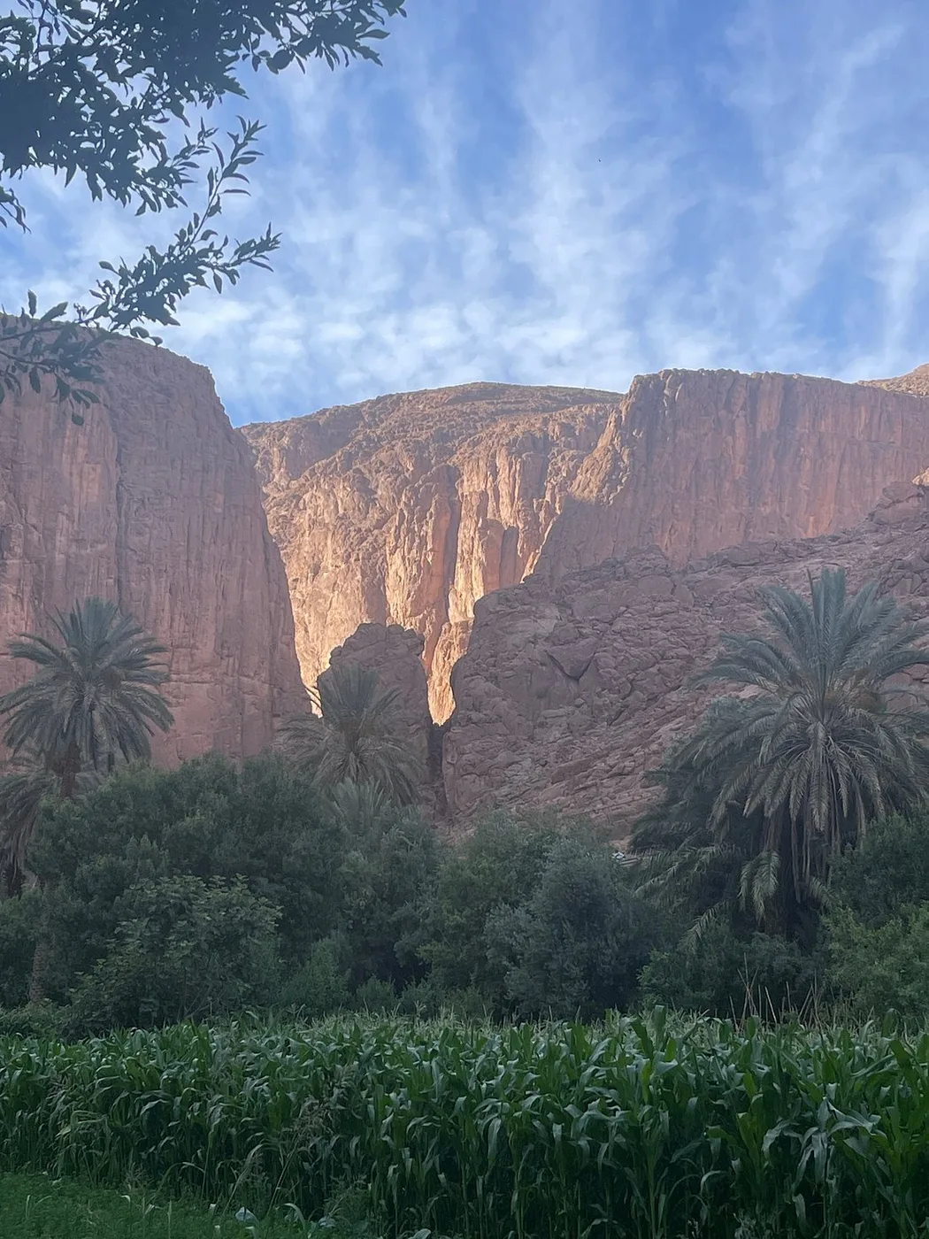 Todra Gorge rock walls