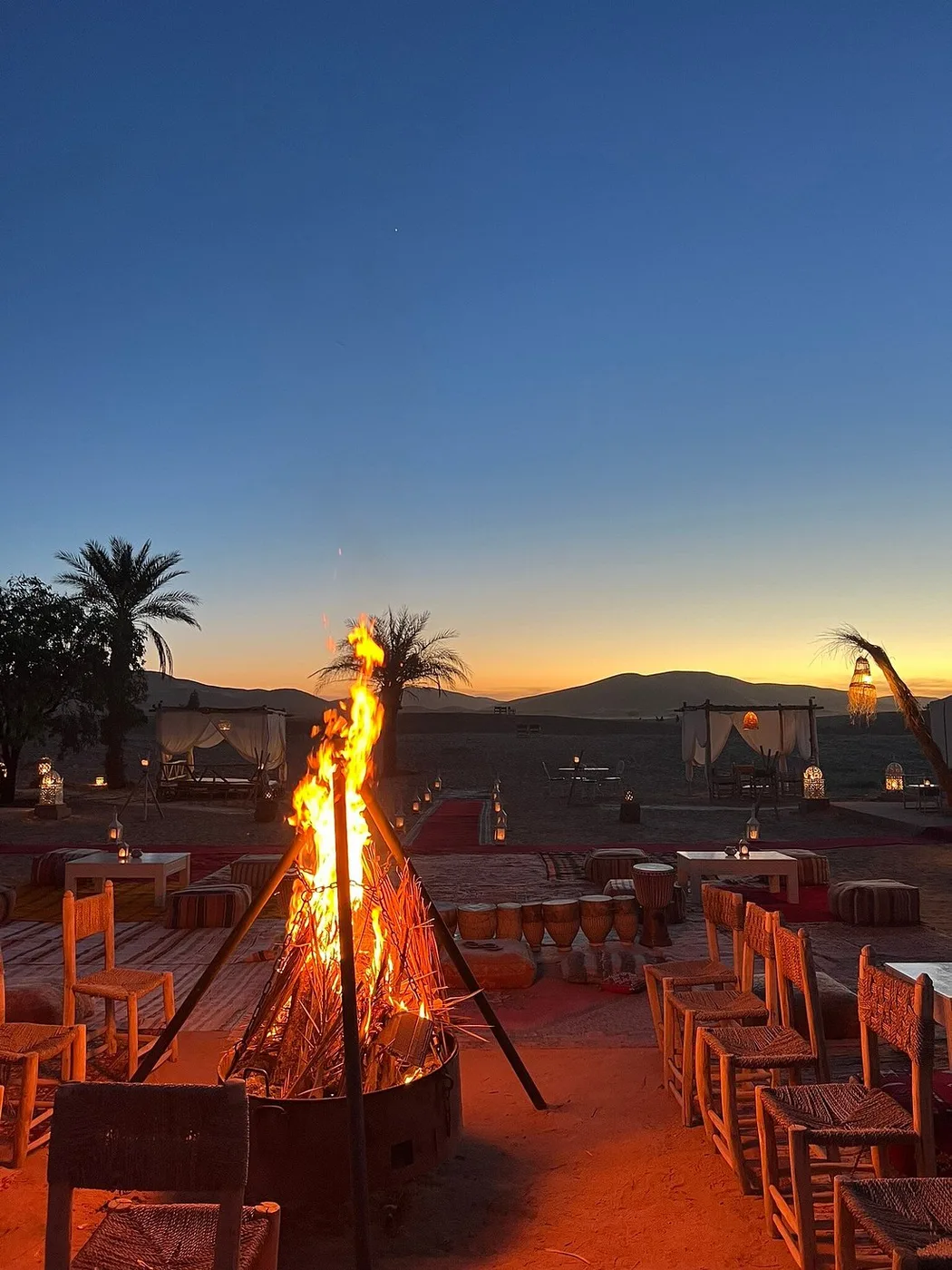 Fireside desert camp dining
