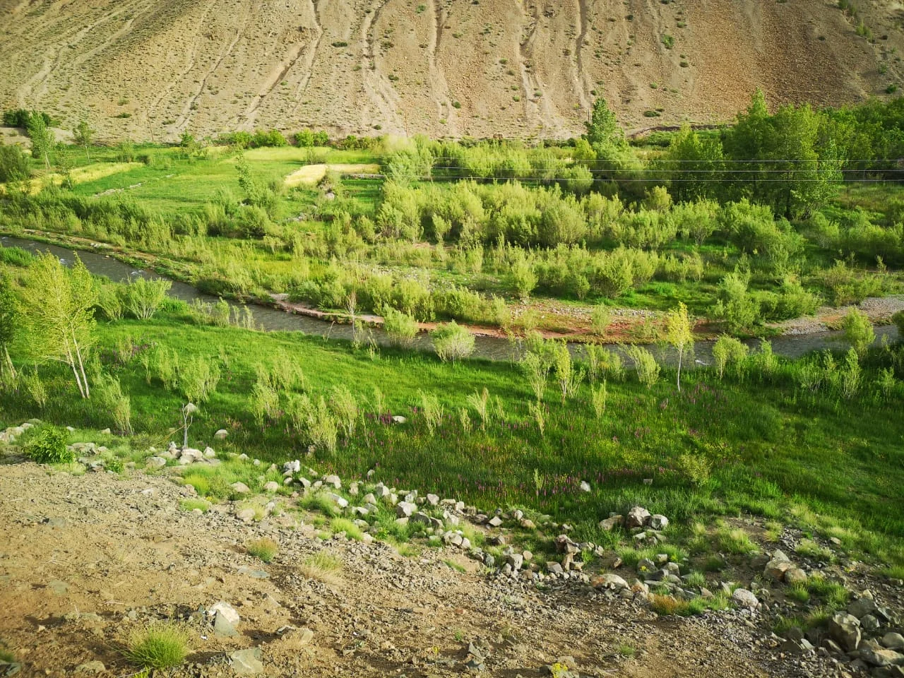 Cultivated terraces and greenery at Ichbaken