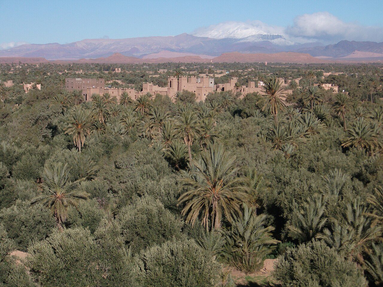 Skoura palm oasis and Amridil kasbah
