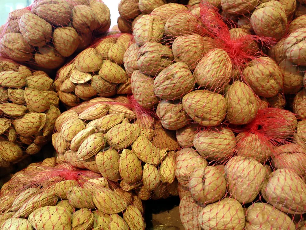 Almonds and walnuts in their shells
